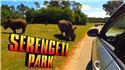 Veranstaltungsbild Serengetipark I