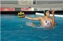 Veranstaltungsbild Wasserball entdecken